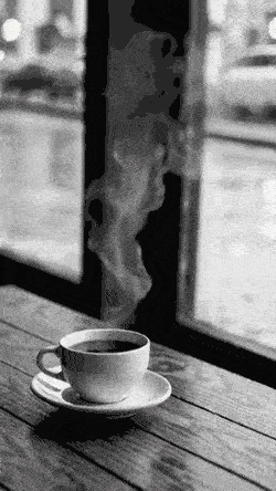 Lær om kaffens historie og opprinnelse